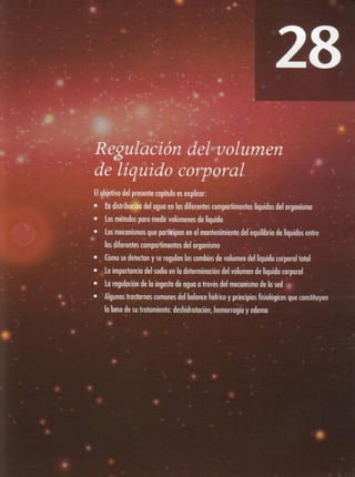 28   regulación del volumen del líquido corporal
