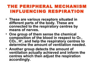 THE PERIPHERAL MECHANISM INFLUENCING RESPIRATION These are various receptors situated in different parts of the body. These are connected to the respiratory centres by means of nerves. One group of them sense the chemical composition of the blood in respect to O 2  , CO 2  , H + , and help the respiratory centres to determine the amount of ventilation needed.  Another group detects the amount of ventilation actually achieved and inform the centres which then adjust the respiration accordingly. 