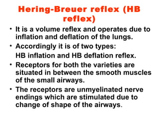 Hering-Breuer reflex (HB reflex) It is a volume reflex and operates due to inflation and deflation of the lungs.  Accordingly it is of two types: HB inflation and HB deflation reflex.  Receptors for both the varieties are situated in between the smooth muscles of the small airways. The receptors are unmyelinated nerve endings which are stimulated due to change of shape of the airways . 