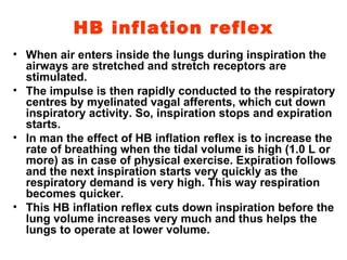 HB inflation reflex When air enters inside the lungs during inspiration the airways are stretched and stretch receptors are stimulated. The impulse is then rapidly conducted to the respiratory centres by myelinated vagal afferents, which cut down inspiratory activity. So, inspiration stops and expiration starts. In man the effect of HB inflation reflex is to increase the rate of breathing when the tidal volume is high (1.0 L or more) as in case of physical exercise. Expiration follows and the next inspiration starts very quickly as the respiratory demand is very high. This way respiration becomes quicker. This HB inflation reflex cuts down inspiration before the lung volume increases very much and thus helps the lungs to operate at lower volume. 