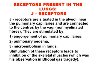 RECEPTORS PRESENT IN THE LUNGS:  J - RECEPTORS J - receptors are situated in the alveoli near the pulmonary capillaries and are connected to the centres by the vagi (nonmyelinated fibres). They are stimulated by: 1) engorgement of pulmonary capillaries,  2) pulmonary oedema,  3) microembolism in lungs. Stimulation of these receptors leads to inhibition of the skeletal muscles (which was his observation in Bhopal gas tragedy). 