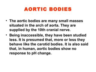 AORTIC BODIES The aortic bodies are many small masses situated in the arch of aorta. They are supplied by the 10th cranial nerve. Being inaccessible, they have been studied less. It is presumed that, more or less they behave like the carotid bodies. It is also said that, in human, aortic bodies show no response to pH change. 