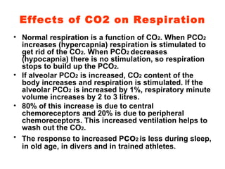 Effects of CO2 on Respiration Normal respiration is a function of CO 2 . When PCO 2  increases (hypercapnia) respiration is stimulated to get rid of the CO 2 . When PCO 2  decreases (hypocapnia) there is no stimulation, so respiration stops to build up the PCO 2 . If alveolar PCO 2  is increased, CO 2  content of the body increases and respiration is stimulated. If the alveolar PCO 2  is increased by 1%, respiratory minute volume increases by 2 to 3 litres. 80% of this increase is due to central chemoreceptors and 20% is due to peripheral chemoreceptors. This increased ventilation helps to wash out the CO 2 . The response to increased P co 2   is less during sleep, in old age, in divers and in trained athletes. 