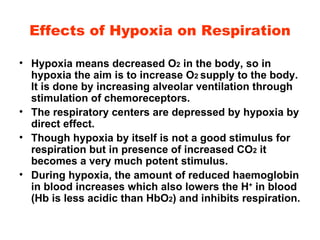 Effects of Hypoxia on Respiration Hypoxia means decreased O 2  in the body, so in hypoxia the aim is to increase O 2  supply to the body. It is done by increasing alveolar ventilation through stimulation of chemoreceptors. The respiratory centers are depressed by hypoxia by direct effect. Though hypoxia by itself is not a good stimulus for respiration but in presence of increased CO 2  it becomes a very much potent stimulus. During hypoxia, the amount of reduced haemoglobin in blood increases which also lowers the H +  in blood (Hb is less acidic than HbO 2 ) and inhibits respiration. 