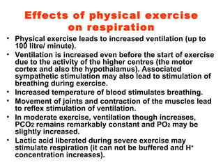 Effects of physical exercise on respiration Physical exercise leads to increased ventilation (up to 100 litre/ minute). Ventilation is increased even before the start of exercise due to the activity of the higher centres (the motor cortex and also the hypothalamus). Associated sympathetic stimulation may also lead to stimulation of breathing during exercise. Increased temperature of blood stimulates breathing. Movement of joints and contraction of the muscles lead to reflex stimulation of ventilation. In moderate exercise, ventilation though increases, PCO 2  remains remarkably constant and PO 2  may be slightly increased. Lactic acid liberated during severe exercise may stimulate respiration (it can not be buffered and H +  concentration increases).  