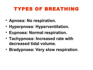 TYPES OF BREATHING Apnoea: No respiration. Hyperpnoea: Hyperventilation. Eupnoea: Normal respiration. Tachypnoea: Increased rate with decreased tidal volume. Bradypnoea: Very slow respiration . 