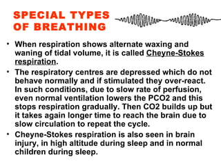 SPECIAL TYPES OF BREATHING When respiration shows alternate waxing and waning of tidal volume, it is called  Cheyne-Stokes respiration . The respiratory centres are depressed which do not behave normally and if stimulated they over-react. In such conditions, due to slow rate of perfusion, even normal ventilation lowers the PCO2 and this stops respiration gradually. Then CO2 builds up but it takes again longer time to reach the brain due to slow circulation to repeat the cycle. Cheyne-Stokes respiration is also seen in brain injury, in high altitude during sleep and in normal children during sleep. 