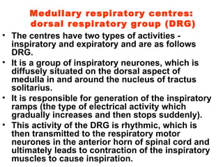 Medullary respiratory centres:  dorsal respiratory group (DRG) The centres have two types of activities - inspiratory and expiratory and are as follows DRG. It is a group of inspiratory neurones, which is diffusely situated on the dorsal aspect of medulla in and around the nucleus of tractus solitarius. It is responsible for generation of the inspiratory ramps (the type of electrical activity which gradually increases and then stops suddenly). This activity of the DRG is rhythmic, which is then transmitted to the respiratory motor neurones in the anterior horn of spinal cord and ultimately leads to contraction of the inspiratory muscles to cause inspiration. 