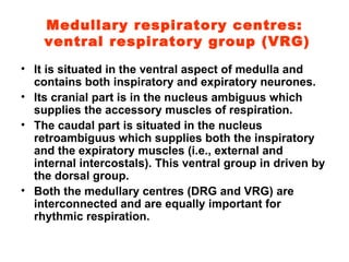 Medullary respiratory centres:  ventral respiratory group (VRG) It is situated in the ventral aspect of medulla and contains both inspiratory and expiratory neurones.  Its cranial part is in the nucleus ambiguus which supplies the accessory muscles of respiration. The caudal part is situated in the nucleus retroambiguus which supplies both the inspiratory and the expiratory muscles (i.e., external and internal intercostals). This ventral group in driven by the dorsal group. Both the medullary centres (DRG and VRG) are interconnected and are equally important for rhythmic respiration. 