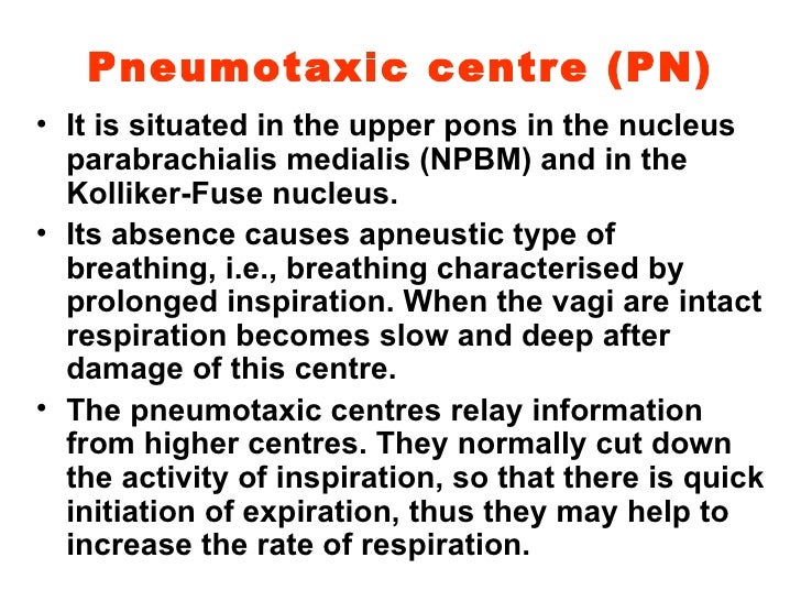 28. respiratory 30809