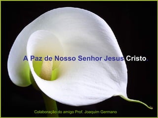 A Paz de Nosso Senhor Jesus  Cristo . Colaboração do amigo Prof. Joaquim Germano 