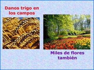 .
Danos trigo en
los campos
Miles de flores
también
 