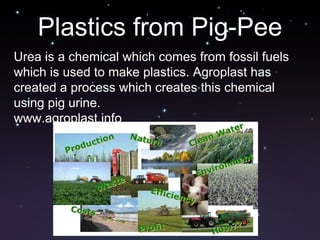 Plastics from Pig-Pee Urea is a chemical which comes from fossil fuels which is used to make plastics. Agroplast has created a process which creates this chemical using pig urine. www.agroplast.info 