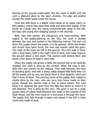 flooring to the ground underneath. But the room is stuffy, and not
such a pleasant place as the open veranda. The pigs and poultry
occupy the waste space under the house.
From the bilik there is a ladder which leads to an upper room, or
loft (sadau), where they keep their tools and store their paddy. If the
family be a large one, the young unmarried girls sleep in this loft,
the boys and young men sleeping outside in the veranda.
Both men and women are industrious and hard-working. With
regard to the paddy-planting on the hills, the work is divided
between the men and women in the following manner. The men cut
down the jungle where the paddy is to be planted. When the timber
and shrubs have been burnt, the men and women plant the grain.
The roots of the trees are left in the ground. The men walk in front,
with a long heavy staff in the right hand of each, and make holes in
the ground about a foot apart. The women walk behind them and
throw a few grains of seed in each hole.
When the paddy has grown a little, the ground has to be carefully
weeded; this work is done by the women. When the crop is ripe,
both men and women do the reaping. They walk between the rows
of standing grain, and with a sharp, oddly-shaped little knife they cut
off the heads one by one, and place them in their baskets, which are
tied in front of them. The carrying home of the paddy thus reaped is
mostly done by the men, who can carry very heavy loads on their
backs, though the women help in this to some extent. The next
thing is to separate the grain from the little tiny stems to which it is
still attached. This is done by the men. The grain is put on a large
square sieve of rattan fixed between four posts in the veranda of the
Dyak house, and the men tread on it and press it through the sieve.
The paddy that falls through is taken and stored in the loft in large
round bins made of bark.
 