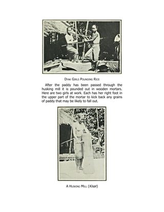 Dyak Girls Pounding Rice
After the paddy has been passed through the
husking mill it is pounded out in wooden mortars.
Here are two girls at work. Each has her right foot in
the upper part of the mortar to kick back any grains
of paddy that may be likely to fall out.
A Husking Mill (Kisar)
 