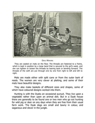 Girls Weaving
They are seated on mats on the floor. The threads are fastened to a frame,
which is kept in position by a large band that is secured to the girl’s waist, and
she can tighten or loosen the threads by leaning back or bending forward. The
threads of the weft are put through one by one from right to left and left to
right.
Mats are made either with split cane or from the outer bark of
reeds. The women are very clever at plaiting, and some of their
mats have beautiful designs.
They also make baskets of different sizes and shapes, some of
which have coloured designs worked into them.
Hunting is with the Dyaks an occasional pursuit. They live upon a
vegetable rather than upon an animal diet. But in a Dyak house
there are generally to be found one or two men who go out hunting
for wild pig or deer on any days when they are free from their usual
farm work. The Dyak dogs are small and tawny in colour, and
sagacious and clever in the jungle.
 