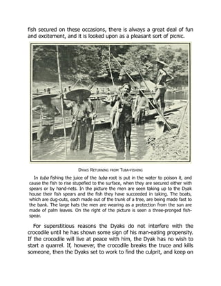 fish secured on these occasions, there is always a great deal of fun
and excitement, and it is looked upon as a pleasant sort of picnic.
Dyaks Returning from Tuba-fishing
In tuba fishing the juice of the tuba root is put in the water to poison it, and
cause the fish to rise stupefied to the surface, when they are secured either with
spears or by hand-nets. In the picture the men are seen taking up to the Dyak
house their fish spears and the fish they have succeeded in taking. The boats,
which are dug-outs, each made out of the trunk of a tree, are being made fast to
the bank. The large hats the men are wearing as a protection from the sun are
made of palm leaves. On the right of the picture is seen a three-pronged fish-
spear.
For superstitious reasons the Dyaks do not interfere with the
crocodile until he has shown some sign of his man-eating propensity.
If the crocodile will live at peace with him, the Dyak has no wish to
start a quarrel. If, however, the crocodile breaks the truce and kills
someone, then the Dyaks set to work to find the culprit, and keep on
 