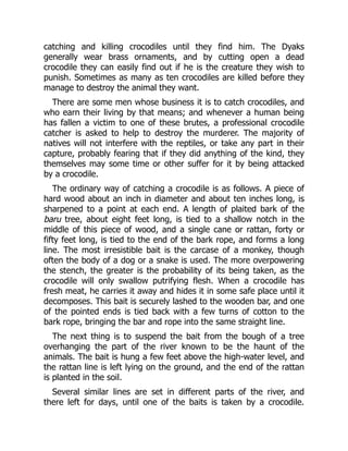 catching and killing crocodiles until they find him. The Dyaks
generally wear brass ornaments, and by cutting open a dead
crocodile they can easily find out if he is the creature they wish to
punish. Sometimes as many as ten crocodiles are killed before they
manage to destroy the animal they want.
There are some men whose business it is to catch crocodiles, and
who earn their living by that means; and whenever a human being
has fallen a victim to one of these brutes, a professional crocodile
catcher is asked to help to destroy the murderer. The majority of
natives will not interfere with the reptiles, or take any part in their
capture, probably fearing that if they did anything of the kind, they
themselves may some time or other suffer for it by being attacked
by a crocodile.
The ordinary way of catching a crocodile is as follows. A piece of
hard wood about an inch in diameter and about ten inches long, is
sharpened to a point at each end. A length of plaited bark of the
baru tree, about eight feet long, is tied to a shallow notch in the
middle of this piece of wood, and a single cane or rattan, forty or
fifty feet long, is tied to the end of the bark rope, and forms a long
line. The most irresistible bait is the carcase of a monkey, though
often the body of a dog or a snake is used. The more overpowering
the stench, the greater is the probability of its being taken, as the
crocodile will only swallow putrifying flesh. When a crocodile has
fresh meat, he carries it away and hides it in some safe place until it
decomposes. This bait is securely lashed to the wooden bar, and one
of the pointed ends is tied back with a few turns of cotton to the
bark rope, bringing the bar and rope into the same straight line.
The next thing is to suspend the bait from the bough of a tree
overhanging the part of the river known to be the haunt of the
animals. The bait is hung a few feet above the high-water level, and
the rattan line is left lying on the ground, and the end of the rattan
is planted in the soil.
Several similar lines are set in different parts of the river, and
there left for days, until one of the baits is taken by a crocodile.
 