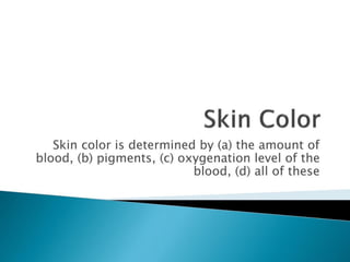 Skin colour and human interactions pigmentation