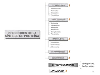 √



                √




                √


                √
                √
                    Quinupristina
 ESTREPTOGRAMINAS   Dalfopristina

LINEZOLID   √                  21
 