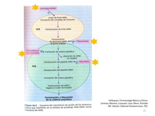Velázquez; Farmacología Básica y Clínica.
Lorenzo, Moreno, Lizasoain, Leza, Moro, Portolés
       18ª. Edición. Editorial Panamericana. 795.
                                           22
 