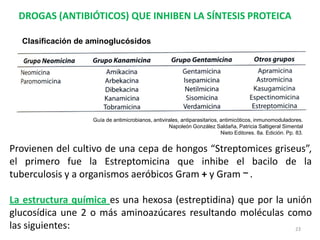 DROGAS (ANTIBIÓTICOS) QUE INHIBEN LA SÍNTESIS PROTEICA

  Clasificación de aminoglucósidos




                   Guía de antimicrobianos, antivirales, antiparasitarios, antimicóticos, inmunomoduladores.
                                                   Napoleón González Saldaña, Patricia Saltigeral Simental
                                                                           Nieto Editores. 8a. Edición. Pp. 83.


Provienen del cultivo de una cepa de hongos “Streptomices griseus”,
el primero fue la Estreptomicina que inhibe el bacilo de la
tuberculosis y a organismos aeróbicos Gram + y Gram .

La estructura química es una hexosa (estreptidina) que por la unión
glucosídica une 2 o más aminoazúcares resultando moléculas como
las siguientes:                                                 23
 