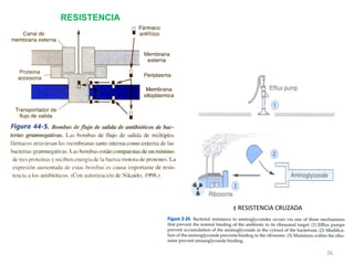 RESISTENCIA




              ± RESISTENCIA CRUZADA




                                      26
 