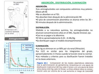 ABSORCIÓN , DISITRIBUCIÓN, ELIMINACIÓN
ABSORCIÓN.
Los aminoglucósidos son compuestos catiónicos muy polares.
(Bases pK≈8)
No se absorben en el TGI.
Se absorben bien después de la administración IM.
El pico de concentración plasmática se alcanza entre los 30 –
90 minutos después de la administración.

DISTRIBUCIÓN.
Debido a su naturaleza química, los aminoglucósidos no
alcanzan concentraciones altas en el SNC, liquido Sinovial, ojo.
Casi no se pegan a la albúmina.
El Vd es aproximadamente 0.24 – 0-28L/Kg.
Se distribuyen según el modelo bicompartimental.

ELIMINACIÓN.
Los Ag se eliminan en un 90% por vía renal (filtración).
La t1/2 es similar para los integrantes del grupo,
aproximadamente 2-3 horas cuando la función renal es normal.
Los métodos y criterios para su dosificación fueron tratados
en la clases anteriores.




                                                              29
 
