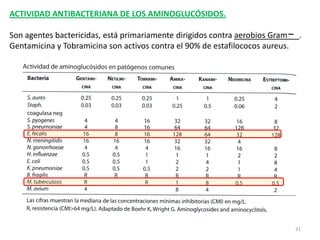 ACTIVIDAD ANTIBACTERIANA DE LOS AMINOGLUCÓSIDOS.

Son agentes bactericidas, está primariamente dirigidos contra aerobios Gram     .
Gentamicina y Tobramicina son activos contra el 90% de estafilococos aureus.




                                                                               31
 