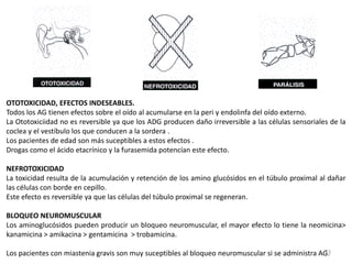 OTOTOXICIDAD, EFECTOS INDESEABLES.
Todos los AG tienen efectos sobre el oído al acumularse en la peri y endolinfa del oído externo.
La Ototoxiciidad no es reversible ya que los ADG producen daño irreversible a las células sensoriales de la
coclea y el vestíbulo los que conducen a la sordera .
Los pacientes de edad son más suceptibles a estos efectos .
Drogas como el ácido etacrínico y la furasemida potencían este efecto.

NEFROTOXICIDAD
La toxicidad resulta de la acumulación y retención de los amino glucósidos en el túbulo proximal al dañar
las células con borde en cepillo.
Este efecto es reversible ya que las células del túbulo proximal se regeneran.

BLOQUEO NEUROMUSCULAR
Los aminoglucósidos pueden producir un bloqueo neuromuscular, el mayor efecto lo tiene la neomicina>
kanamicina > amikacina > gentamicina > trobamicina.

                                                                                                  33
Los pacientes con miastenia gravis son muy suceptibles al bloqueo neuromuscular si se administra AG.
 