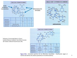Anillo
 lactámico
macrocíclico                                                Desoxiazúcares
                                                              aminados




  Velázquez; Farmacología Básica y Clínica.
  Lorenzo, Moreno, Lizasoain, Leza, Moro, Portolés
  18ª. Edición. Editorial Panamericana. 842.




                                     Figura 49.1.- Estructura química de los diferentes macrólidos . Clasificación según el
                                     número de átomos de carbono presentes en el anillo lactónico.                            36
 