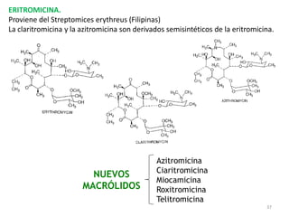 ERITROMICINA.
Proviene del Streptomices erythreus (Filipinas)
La claritromicina y la azitromicina son derivados semisintéticos de la eritromicina.




                                              Azitromicina
                                              Ciaritromicina
                         NUEVOS
                                              Miocamicina
                       MACRÓLIDOS             Roxitromicina
                                              Telitromicina
                                                                                 37
 