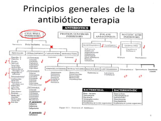            √   √             √


√                    √           √   √

                                                               Oxazolidonas
                                                                 Linezolid

√                                                ¿?   ¿?
                    √

                         √


                         √
        4ª. generación
    ?   Cefepima
        Cefpiroma
        Cefquinoma

        5ª. generación
        Ceftobiprol      √                                       4
 