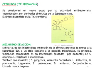 CETÓLIDOS ( TELITROMICINA)

Se consideran un nuevo grupo por su actividad antibacteriana,
(neumococo), son derivados sintéticos de la Estreptomicina.
El único disponible es la Telitromicina




MECANISMO DE ACCIÓN:
Similar al de los macrólidos; inhibición de la síntesis proteica la unirse a la
subunidad 50S a un sitio cercano a la peptidil transferasa, su principal
indicación terapéutica es en infecciones causadas por mutantes de S.
neumonie, resistente a macrólidos.
También son sensibles ; S. pyogenes, Mozarella Catarrhals, H. influenza, M.
pneumonie, Legionela, C. pneumonie, B. pentussis, Corquebacteria,
Listeria monocitogenes.                                                    48
 