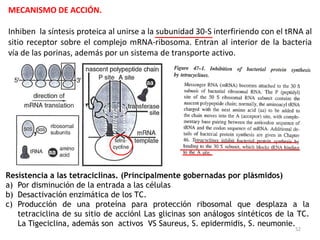 MECANISMO DE ACCIÓN.

Inhiben la síntesis proteica al unirse a la subunidad 30-S interfiriendo con el tRNA al
sitio receptor sobre el complejo mRNA-ribosoma. Entran al interior de la bacteria
vía de las porinas, además por un sistema de transporte activo.




Resistencia a las tetraciclinas. (Principalmente gobernadas por plásmidos)
a) Por disminución de la entrada a las células
b) Desactivación enzimática de los TC.
c) Producción de una proteína para protección ribosomal que desplaza a la
   tetraciclina de su sitio de acciónl Las glicinas son análogos sintéticos de la TC.
   La Tigeciclina, además son activos VS Saureus, S. epidermidis, S. neumonie.
                                                                                  52
 