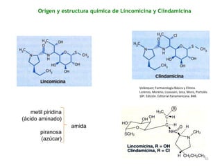 Origen y estructura química de Lincomicina y Clindamicina




                                            Velázquez; Farmacología Básica y Clínica.
                                            Lorenzo, Moreno, Lizasoain, Leza, Moro, Portolés
                                            18ª. Edición. Editorial Panamericana. 848.



    metil piridina
(ácido aminado)
                     amida
        piranosa
        (azúcar)


                                                                                          61
 