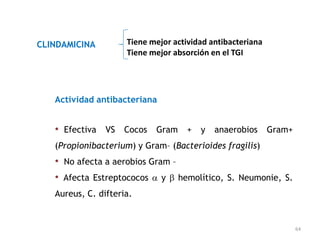 CLINDAMICINA         Tiene mejor actividad antibacteriana
                     Tiene mejor absorción en el TGI




   Actividad antibacteriana


   • Efectiva VS Cocos Gram + y anaerobios Gram+
   (Propionibacterium) y Gram– (Bacterioides fragilis)
   • No afecta a aerobios Gram –
   • Afecta Estreptococos y hemolítico, S. Neumonie, S.
   Aureus, C. difteria.


                                                            64
 