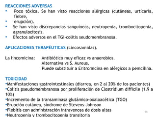 REACCIONES ADVERSAS
• Poco tóxica. Se han visto reacciones alérgicas (cutáneas, urticaria,
   fiebre,
• erupción).
• Se han visto discrepancias sanguíneas, neutropenia, trombocitopenia,
   agranulocitosis.
• Efectos adversos en el TGI-colitis seudomembranosa.
APLICACIONES TERAPÉUTICAS (Lincosamidas).

La lincomicina:   Antibiótico muy eficaz vs anaerobios.
                  Alternativa vs S. Aureus.
                  Puede substituir a Eritromicina en alérgicos a penicilina.

TOXICIDAD
•Manifestaciones gastrointestinales (diarrea, en 2 al 20% de los pacientes)
•Colitis pseudomembranosa por proliferación de Clostridium difficile (1.9 a
10%)
•Incremento de la transaminasa glutámico-oxaloacética (TGO)
•Erupción cutánea, síndrome de Stevens-Johnson
•Flebitis con administración intravenosa de dosis altas                 66
•Neutropenia y trombocitopenia transitoria
 