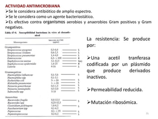 ACTIVIDAD ANTIMICROBIANA
Se le considera antibiótico de amplio espectro.
Se le considera como un agente bacteriostático.
Es efectivo contra organismos aerobios y anaerobios Gram positivos y Gram
negativos.

                                           La resistencia: Se produce
                                           por:
                                    S
                                    S
                                    S
                                    R
                                    S(x)
                                           Una       acetil tranferasa
                                    R
                                    S
                                           codificada por un plásmido
                                           que     produce   derivados
                                    S

                                    S
                                           inactivos.
                                    S
                                    S
                                    S
                                    S      Permeabilidad reducida.

                                    S
                                           Mutación ribosómica.
                                    S

                                    S
                                    S                                  75
 
