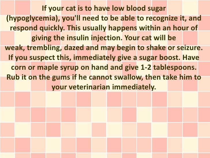 How To Treat Cat Diabetes At Home With These Top 5 Holistic Options