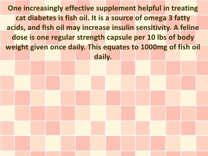 How To Treat Cat Diabetes At Home With These Top 5