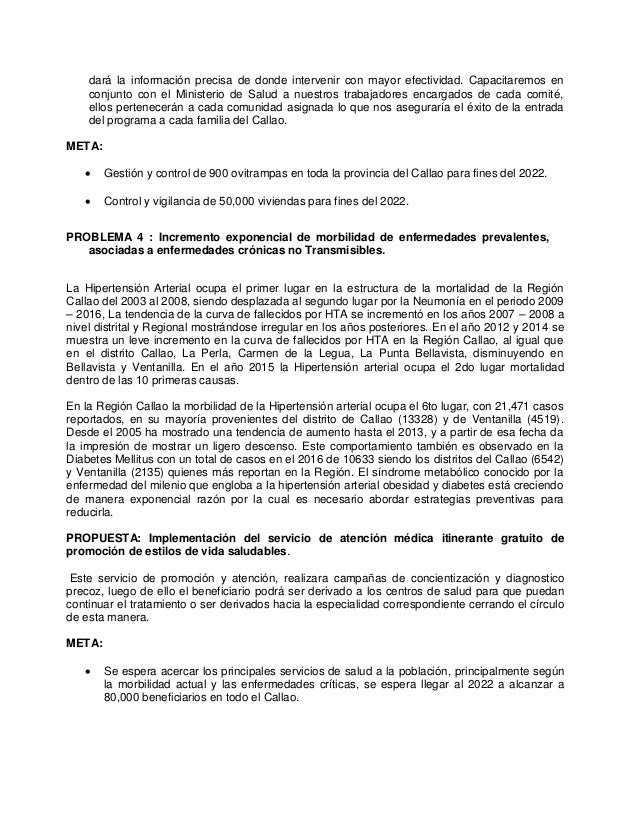 plan de gobierno fuerza