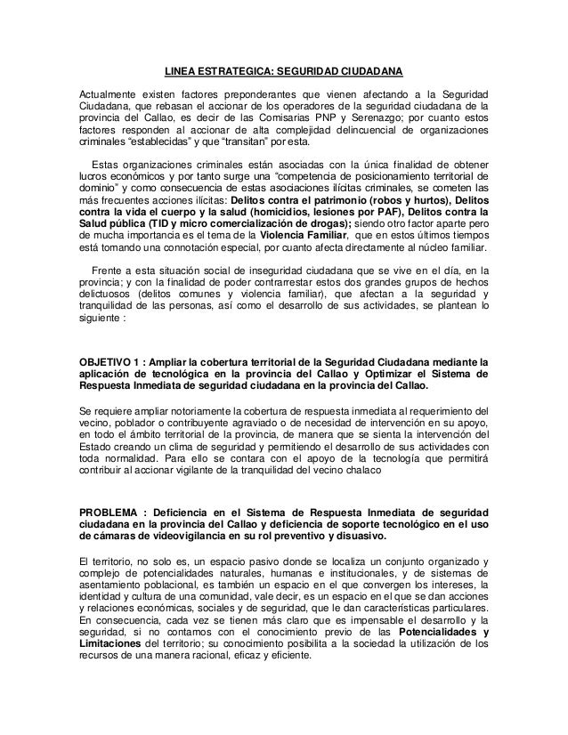 plan de gobierno fuerza