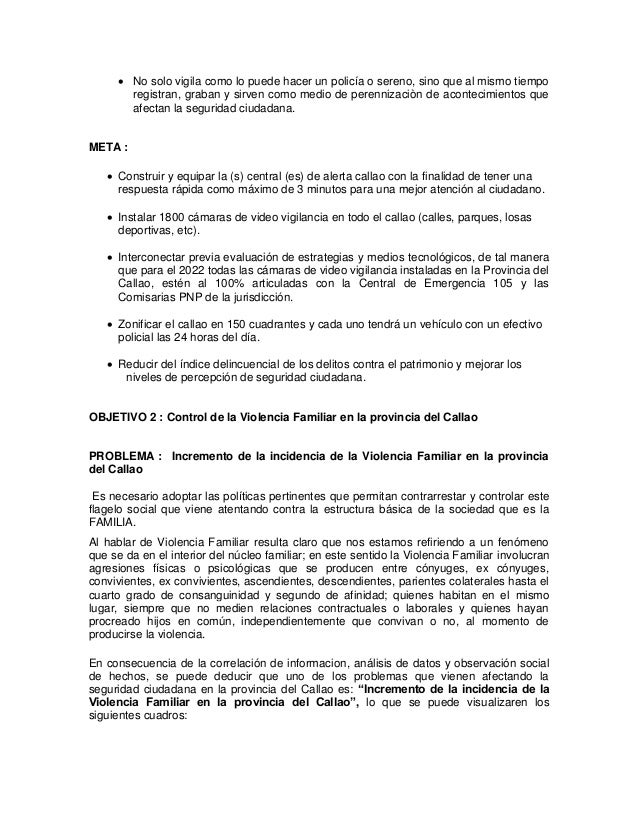 plan de gobierno fuerza