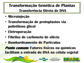 Transformação Genética de Plantas
        Transferência Direta de DNA
• Microinjeção
• Transformação de protoplastos via
  polietileno glicol
• Eletroporação
• Fibrilas de carboneto de silício
• Bombardeamento de Partículas
Ponto comum: Fatores físicos ou químicos
facilitam a entrada do DNA na célula vegetal
 