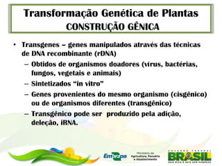 Transformação Genética de Plantas
              CONSTRUÇÃO GÊNICA
• Transgenes – genes manipulados através das técnicas
  de DNA recombinante (rDNA)
   – Obtidos de organismos doadores (vírus, bactérias,
     fungos, vegetais e animais)
   – Sintetizados “in vitro”
   – Genes provenientes do mesmo organismo (cisgênico)
     ou de organismos diferentes (transgênico)
   – Transgênico pode ser produzido pela adição,
     deleção, iRNA.
 