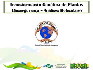 Transformação Genética de Plantas
 Biossegurança – Análises Moleculares
 
