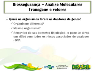 Biossegurança – Análise Moleculares
            Transgene e vetores

 Quais os organismos foram os doadores de genes?
    Organismo diferente?
    Mesmo organismo?
    Removido do seu contexto fisiológico, o gene se torna
     um rDNA com todos os riscos associados de qualquer
     rDNA.
 