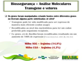 Biossegurança – Análise Moleculares
              Transgene e vetores

 Os genes foram manipulados criando fusões entre diferentes genes
  ou tiveram alguma parte sintetizadas in vitro?
    Transgene pode ter sido modificado para ser expresso de
      maneira mais eficiente (codon usage)
    Recodificados ao nível dos nucleotídeos para ter um codon
      preferido pelo organismo recipiente.
    Ex: genes cry de Bacillus foram recodificados resultando em um
      aumento de 100X de expressão (Trends Biotechnol. 2004. 22, 346-353)


                    Milho AGG – Arginina (14,8%)
                    Milho CGA - Arginina (4,3%)
 