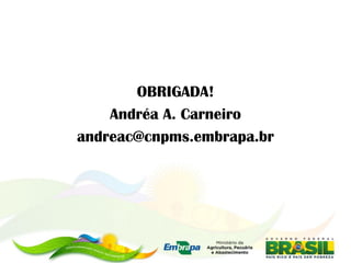 OBRIGADA!
    Andréa A. Carneiro
andreac@cnpms.embrapa.br
 